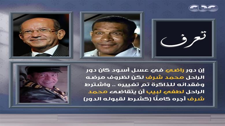 لطفي لبيب