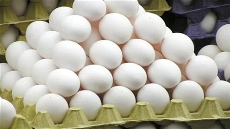 سعر كرتونة البيض اليوم الجمعة 1-8-2025 في بورصة الدواجن