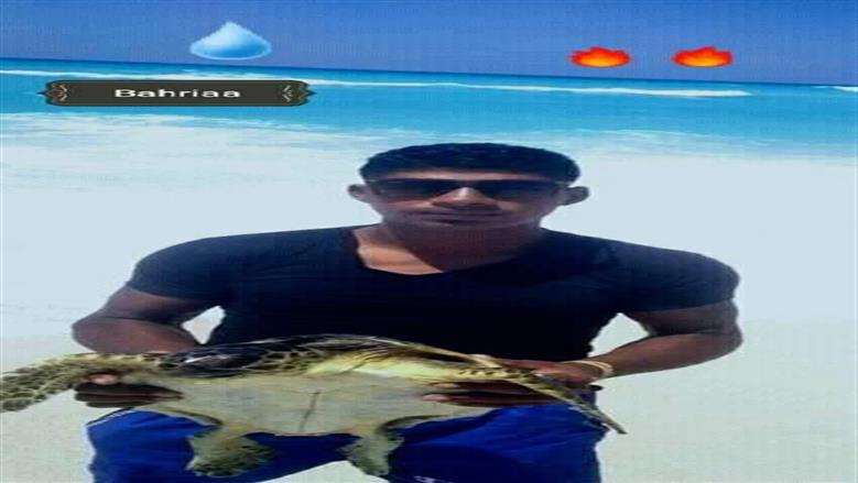 المنقذ أحمد هشام