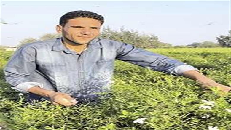 مزارع من الغربية: «تبطين الترع» شجّعنا على تنويع المحاصيل