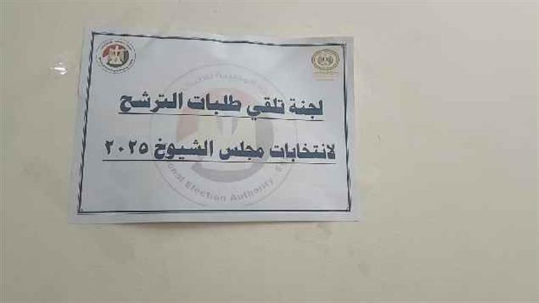 انتخابات الفيوم