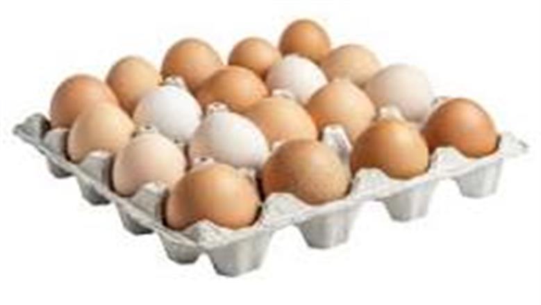 كرتونة البيض