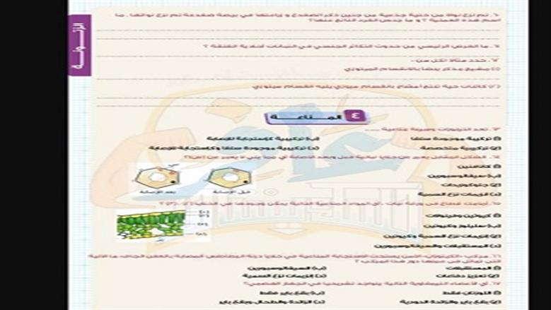 أحياء