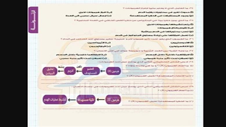 أحياء