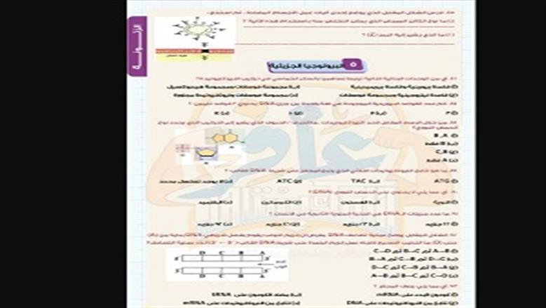 أحياء