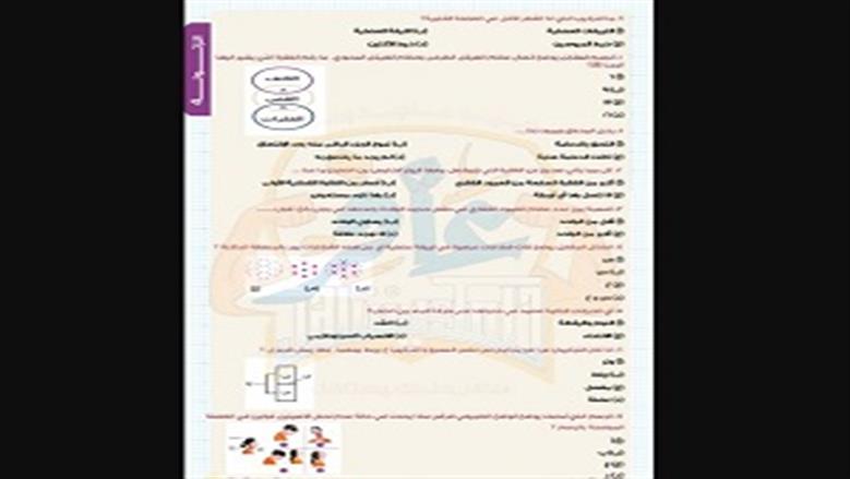 أحياء