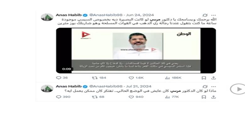 أنس حبيب وشقيقه طارق.. إخوانيان هاربان يحرضان ضد الدولة المصرية من أمستردام