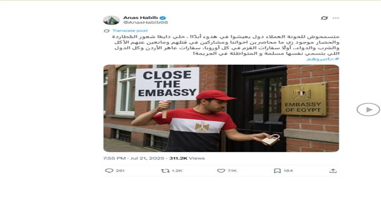 أنس حبيب وشقيقه طارق.. إخوانيان هاربان يحرضان ضد الدولة المصرية من أمستردام