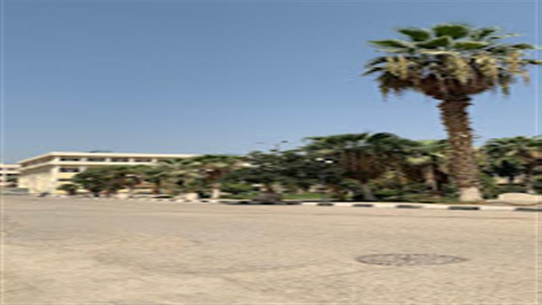 جامعة الفيوم
