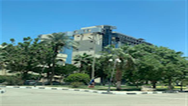 جامعة الفيوم
