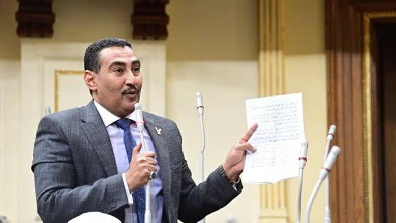 برلماني: الدولة المصرية قوية وصلبة ولا يستطيع أحد المساس بسيادتها أو شبر من أرضها