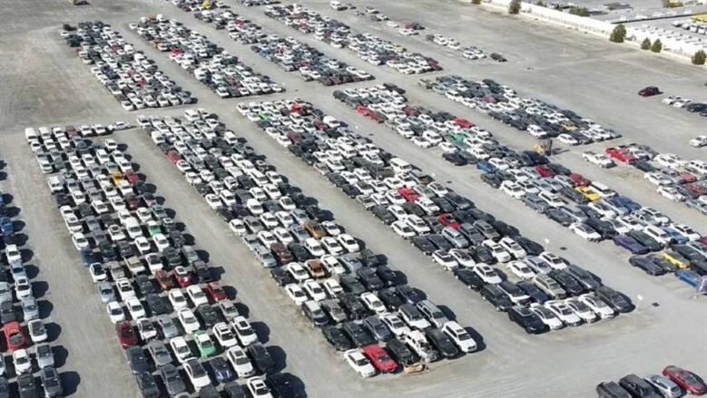 تويوتا ومرسيدس وكيا.. تفاصيل مزاد 31 أغسطس لبيع السيارات