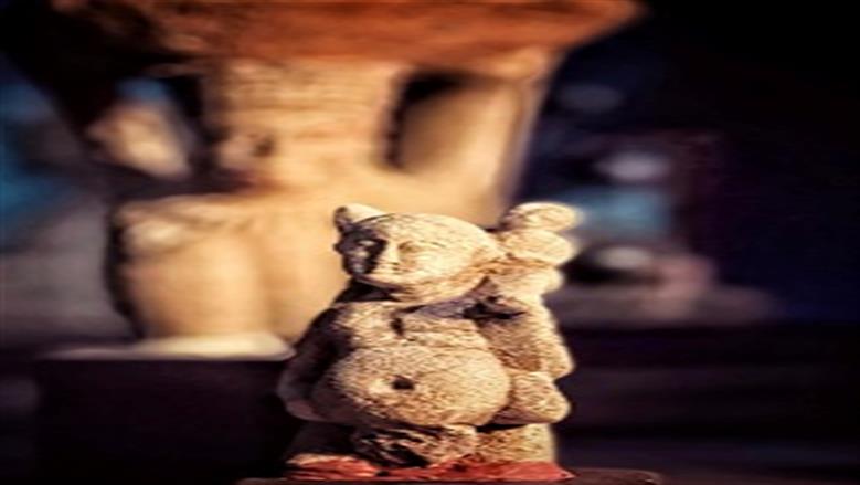 الصور المشاركة فى المسابقة