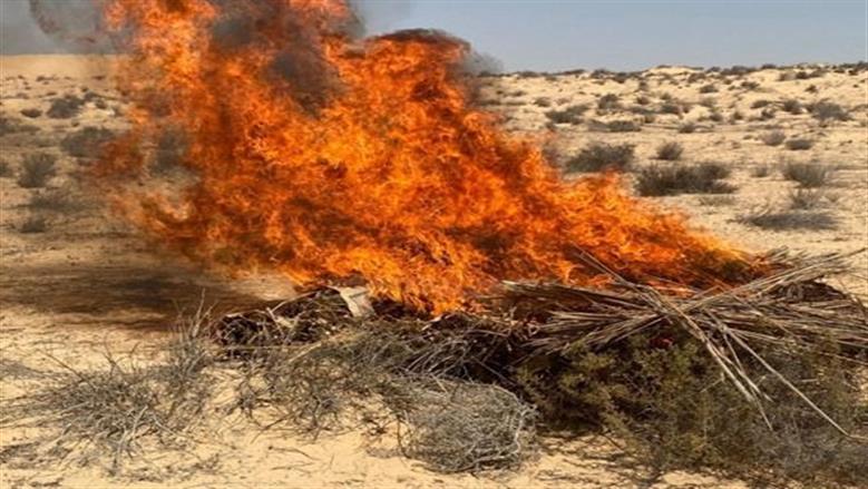 المضبوطات