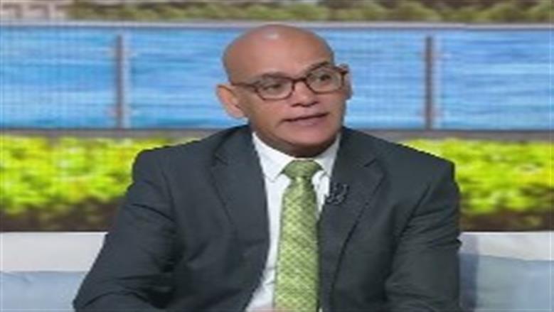 خبير سياسي: لا يصح مقارنة أعداد المشاركين في التصويت بإعادة الخارج بالجولة الأولى
