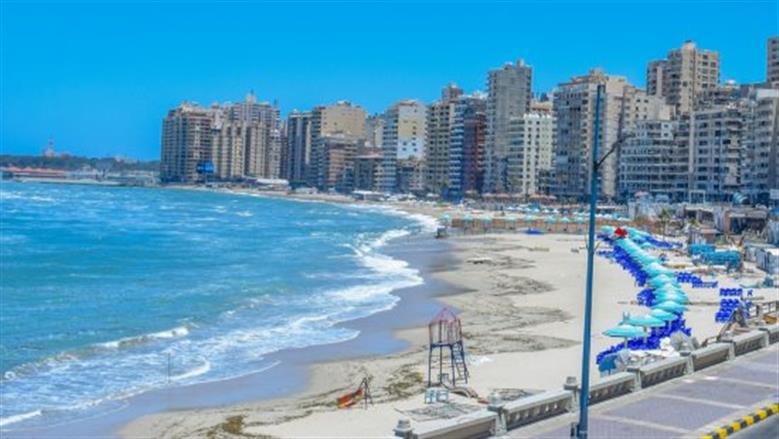 4 معلومات عن ظاهرة «ملتم أغسطس» بعد تسببها في إغلاق شواطئ الإسكندرية
