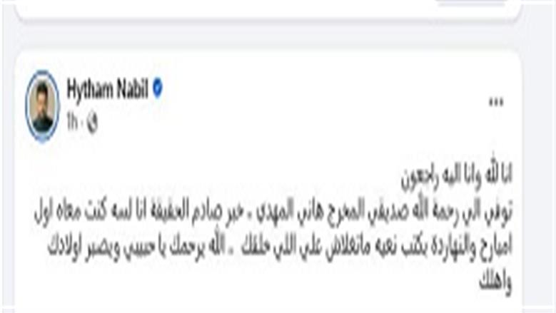 هانى المهدى