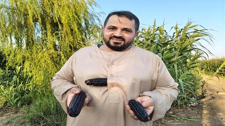 الذرة السوداء