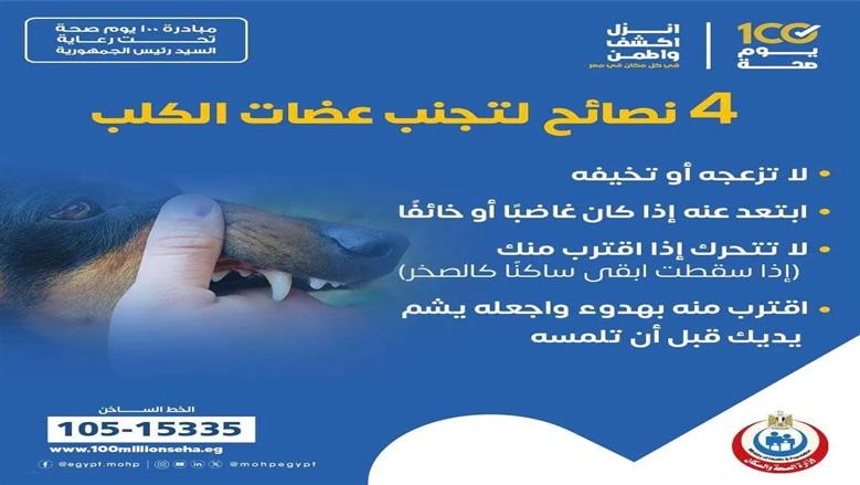 عضة كلب