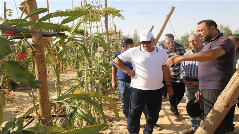 نجاح تجربة زراعة فاكهة