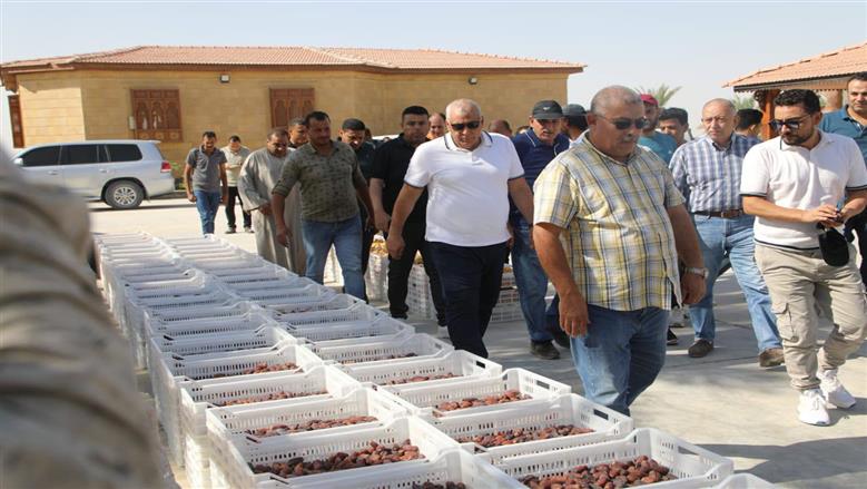 انتاج التمور في الوادي الجديد