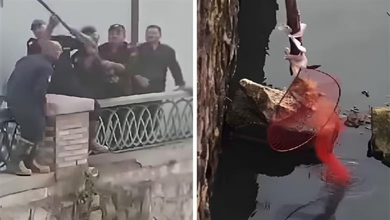 بالصور.. الحماية المدنية تنقذ قطة صغيرة سقطت وسط مياه بحر مويس بالزقازيق