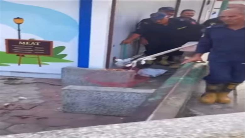 بالصور.. الحماية المدنية تنقذ قطة صغيرة سقطت وسط مياه بحر مويس بالزقازيق