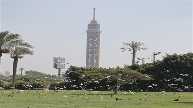 نادي مدينتي يحصد لقبا جديدا في الجولف
