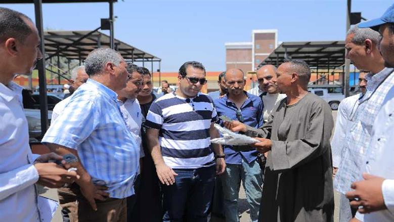 نائب محافظ قنا 