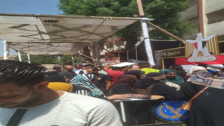 انتخابات مجلس الشيوخ