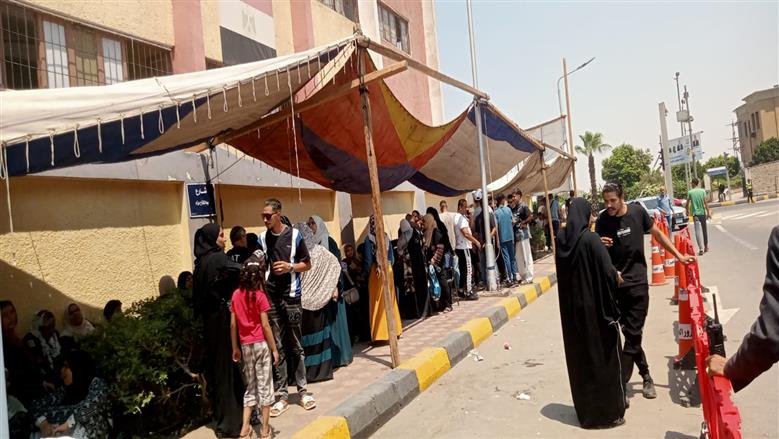 انتخابات مجلس الشيوخ