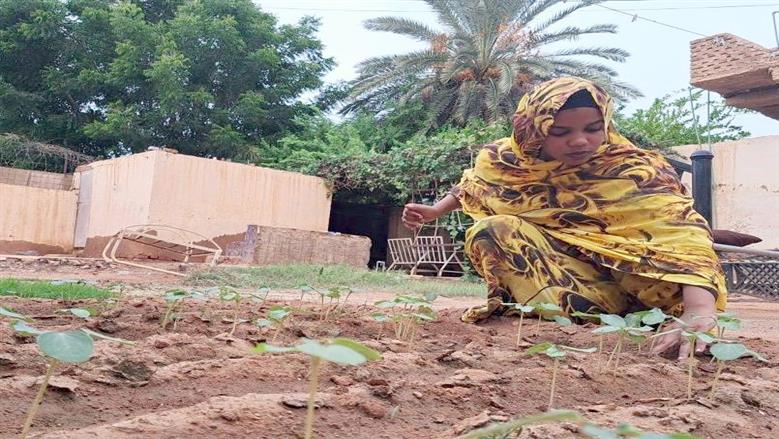 «مروة» تعود إلى حطام منزلها بالسودان: «مصر أم الدنيا السند الحقيقي»