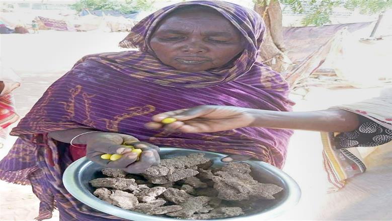 الولاء سيف من السودان للقاهرة: الغربة أوجعتنا وأرض مصر الكبيرة احتضنتنا