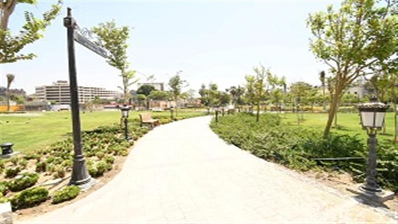 حديقة