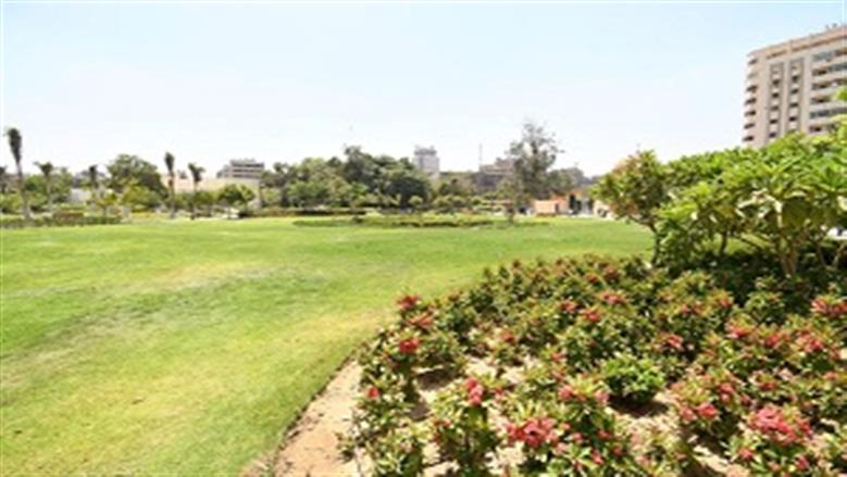 حديقة
