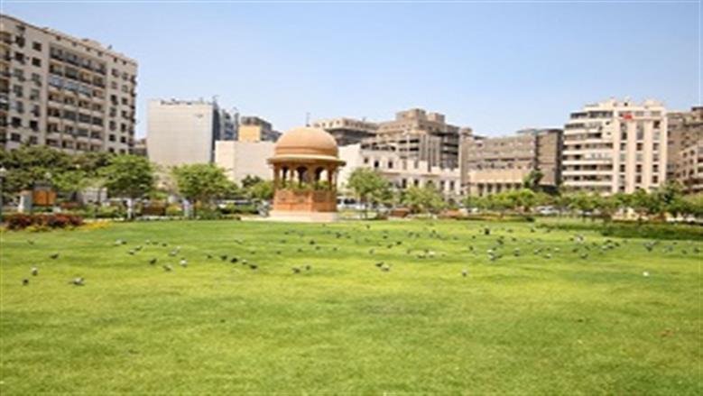 حديقة