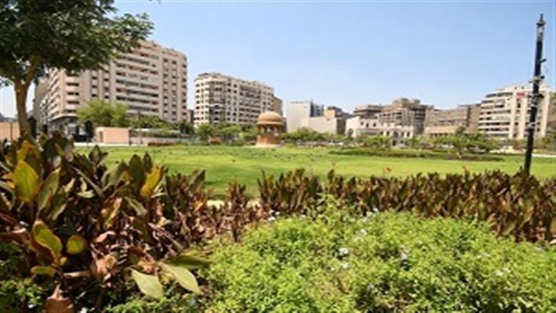 حديقة
