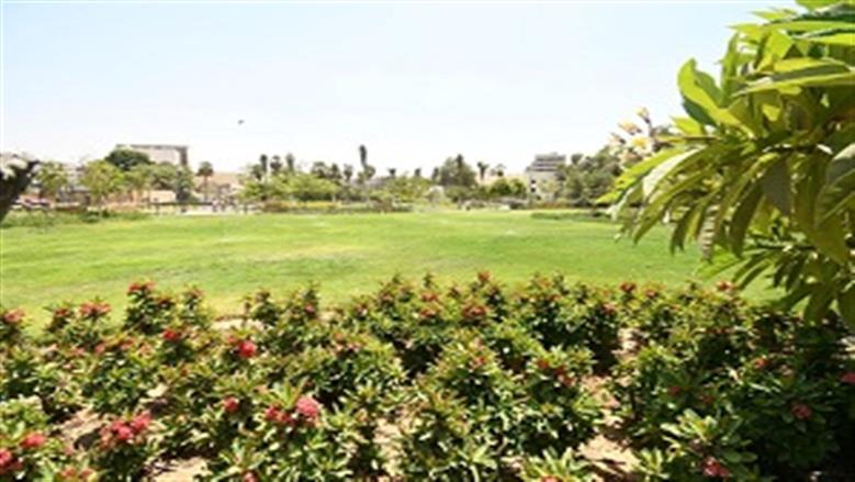 حديقة