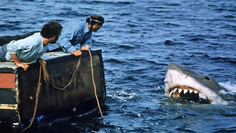 فيلم عمره 50 عاما.. JAWS يحقق 10 ملايين دولار في 4 أيام في دور العرض الأمريكية