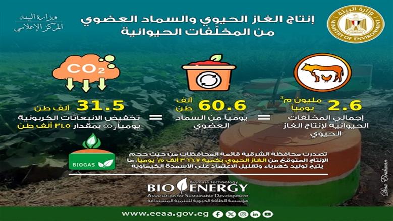 البيئة