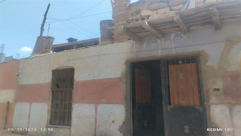 المنوفية