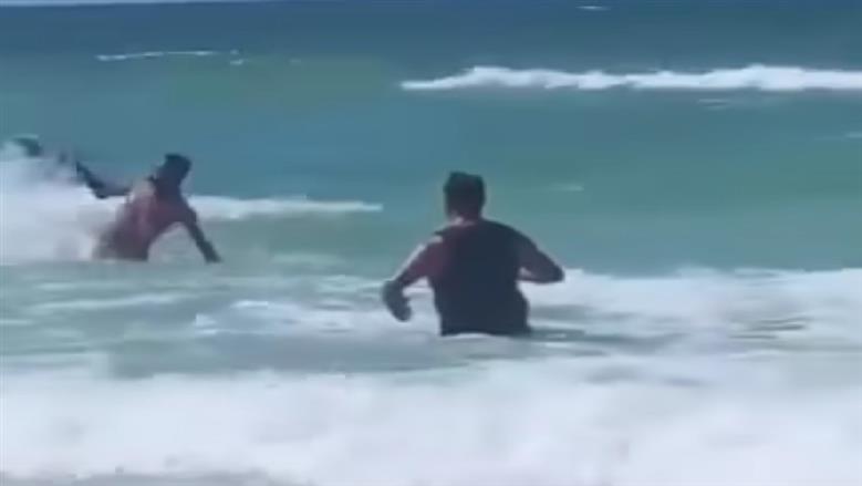 ظهور تمساح في بحر الإسكندرية 
