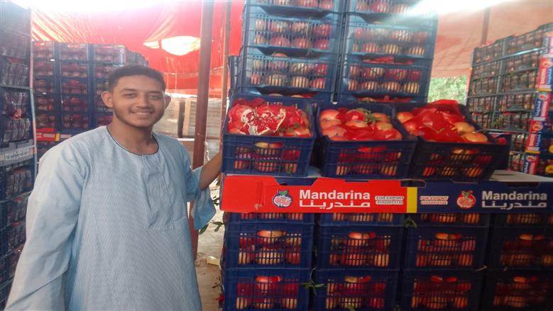 «ع الفرَّازة».. رمان «البداري» كنز الفلاحين و«الأسواق العالمية»