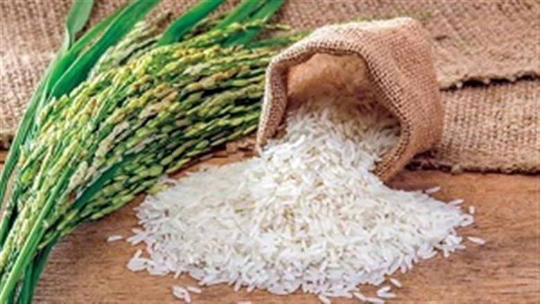 سعر الأرز