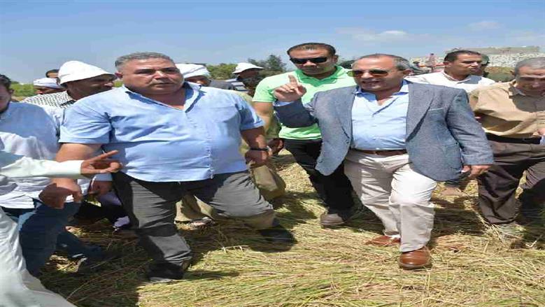 محافظ بورسعيد يشهد حصاد الأرز
