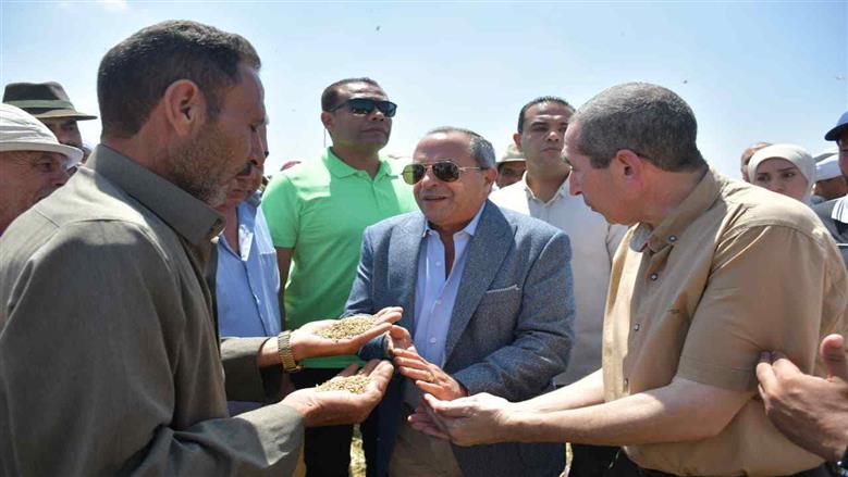 محافظ بورسعيد يشهد حصاد الأرز
