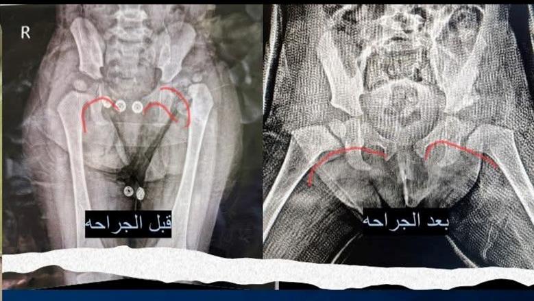 المنوفية 