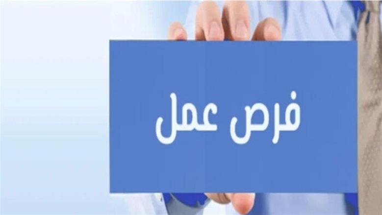 «تنمية الأسرة» تعلن وظيفة شاغرة في المؤسسة.. اعرف الشروط والأوراق المطلوبة