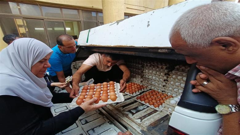 «الزراعة» تطلق 6 منافذ متنقلة لبيع بيض المائدة للمواطنين بسعر 140 جنيها للطبق