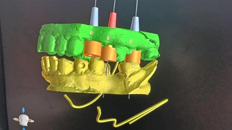 المنوفية